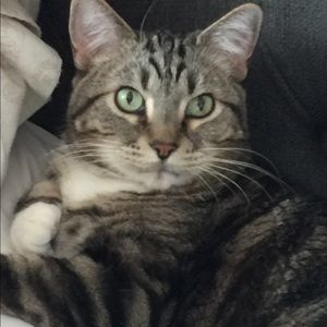 Nothing But Love 💗 🐾💗🐾💗